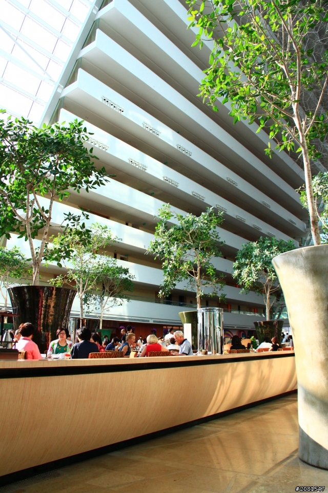 CANON 500D+18~135mm奮鬥記：新加坡 金沙酒店