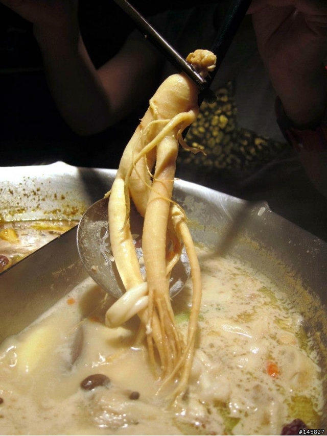 台中之無老鍋...比鼎王還讚啦...只是價格好貴阿