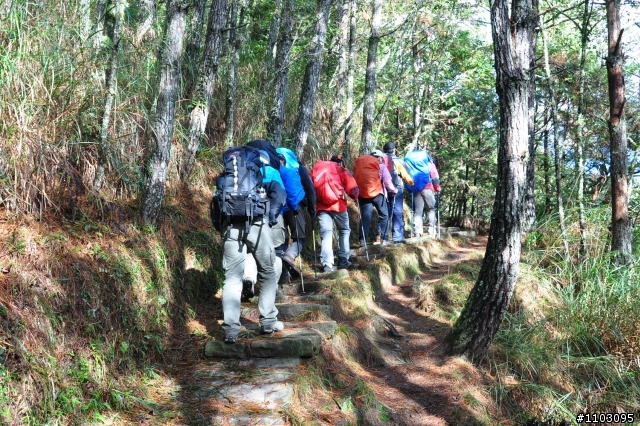 20121118~20 雪山東峰主峰~在半夜三更的黑森林hold不住了之旅~