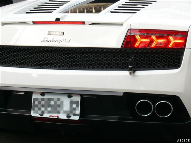 路上遇到2台白小牛