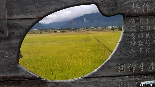 瘋台東 單車背包客的15 Days