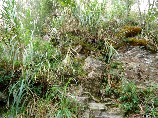 2012/10/28/29北大武山之行