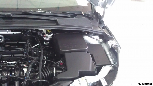 Focus III 2次賞車分享