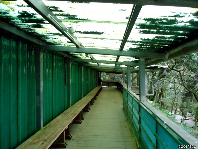 2012/10/28/29北大武山之行