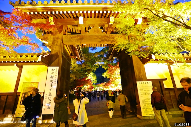 分享：關西～奈良，京都，大阪賞楓自由行（圖多）