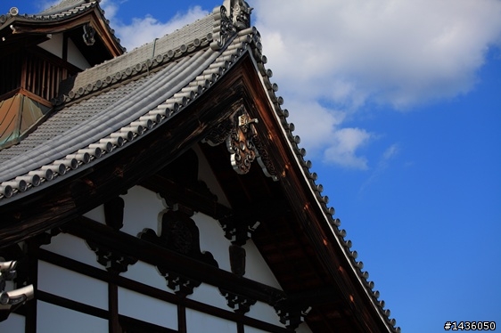 京阪神奈旅拍分享