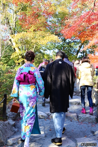 分享：關西～奈良，京都，大阪賞楓自由行（圖多）