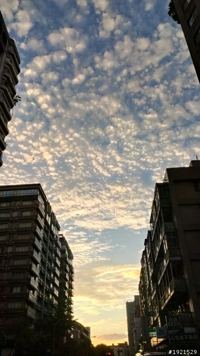 Oops! htcj美腿拍兔