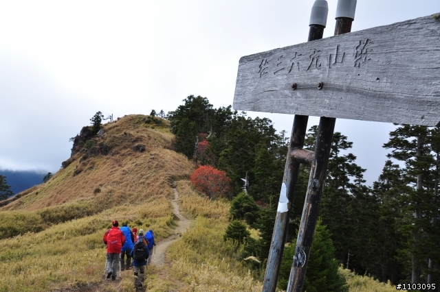 20121118~20 雪山東峰主峰~在半夜三更的黑森林hold不住了之旅~