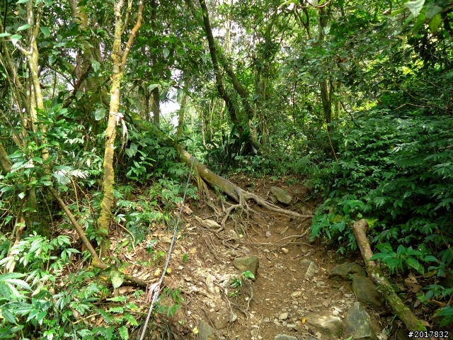 2012/10/28/29北大武山之行