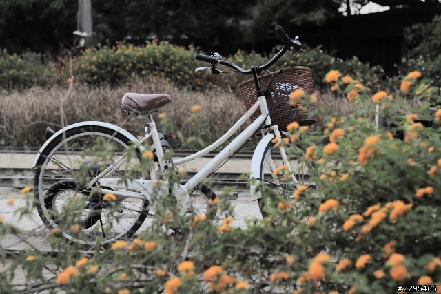 新手練等中，還有哪些地方需加強，麻煩大家用力指教