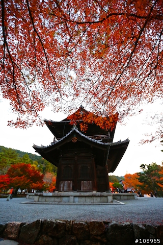 分享：關西～奈良，京都，大阪賞楓自由行（圖多）