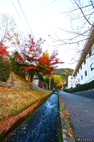 分享：關西～奈良，京都，大阪賞楓自由行（圖多）