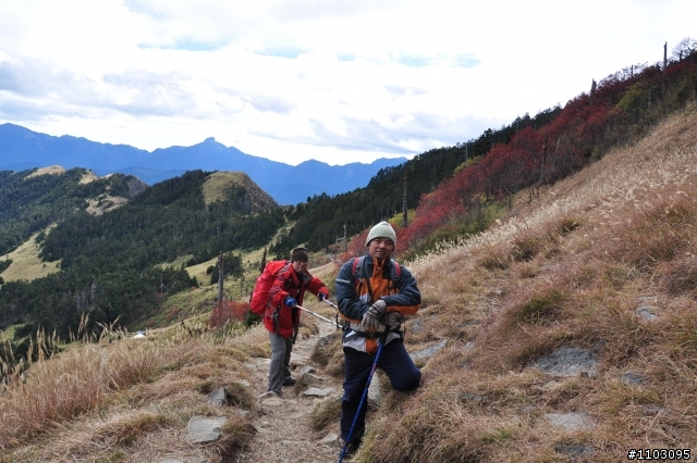 20121118~20 雪山東峰主峰~在半夜三更的黑森林hold不住了之旅~