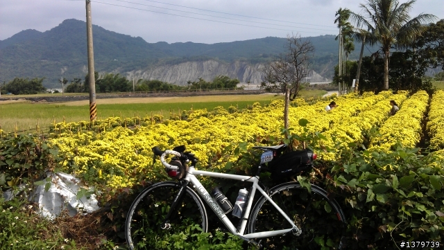 瘋台東 單車背包客的15 Days