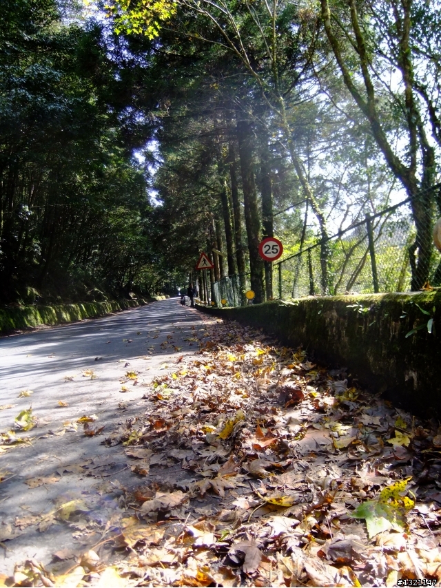 2012明池楓情