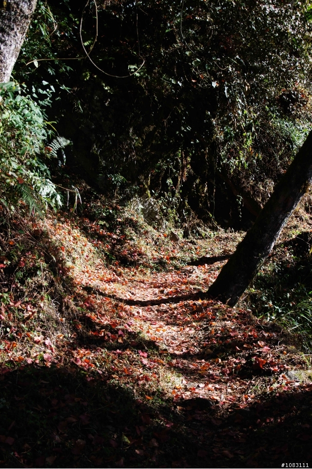霞喀羅古道-清泉往石鹿登山口的高遶路線(1)及(2)合併圖
