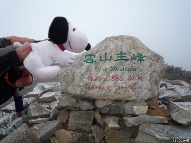 20121118~20 雪山東峰主峰~在半夜三更的黑森林hold不住了之旅~