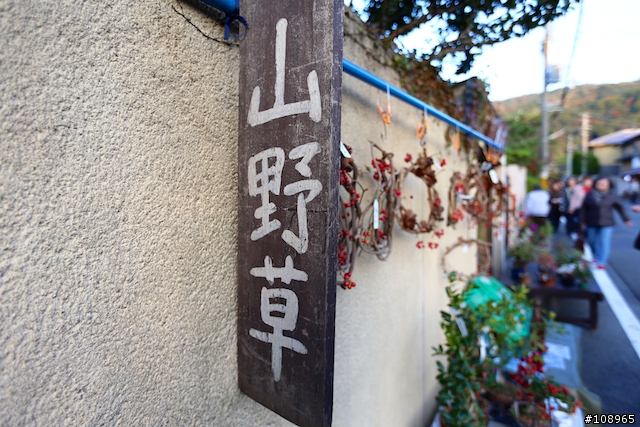 分享：關西～奈良，京都，大阪賞楓自由行（圖多）