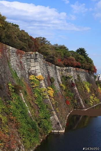 京阪神奈旅拍分享