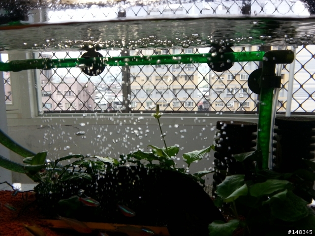 這是小榕開花了嗎