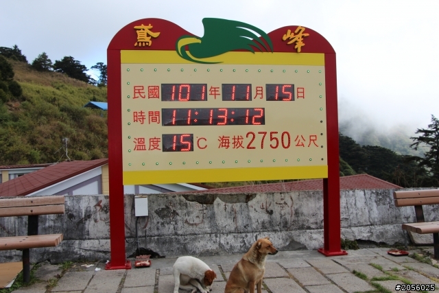 合歡山主峰/武嶺登山一日遊