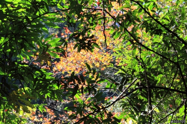 古道俠客行之霞喀羅越嶺