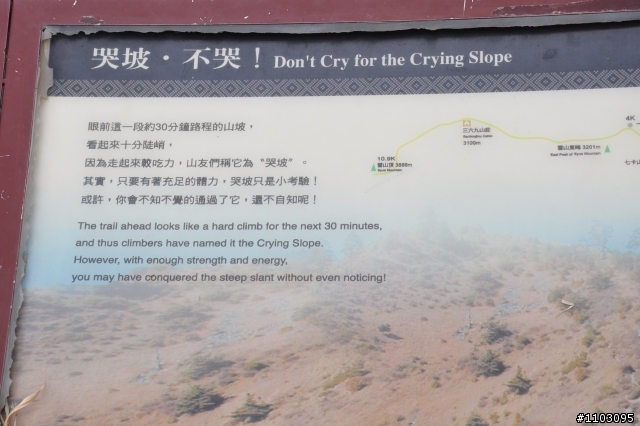 20121118~20 雪山東峰主峰~在半夜三更的黑森林hold不住了之旅~