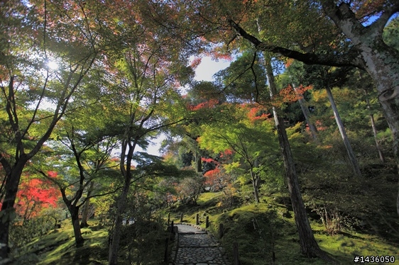 京阪神奈旅拍分享