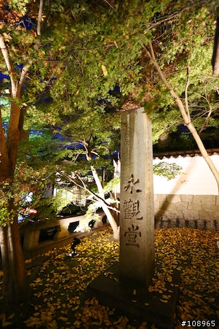 分享：關西～奈良，京都，大阪賞楓自由行（圖多）