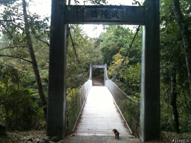 深秋露營地點請益(11/2更新為4天3夜'武陵+福壽山' 圖多)