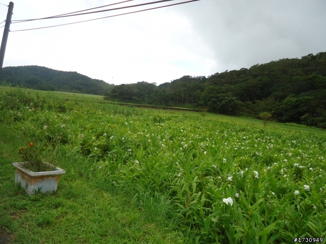 2012暑假日記~兒子我們環島去+2015暑假公路之巔（留言裡）