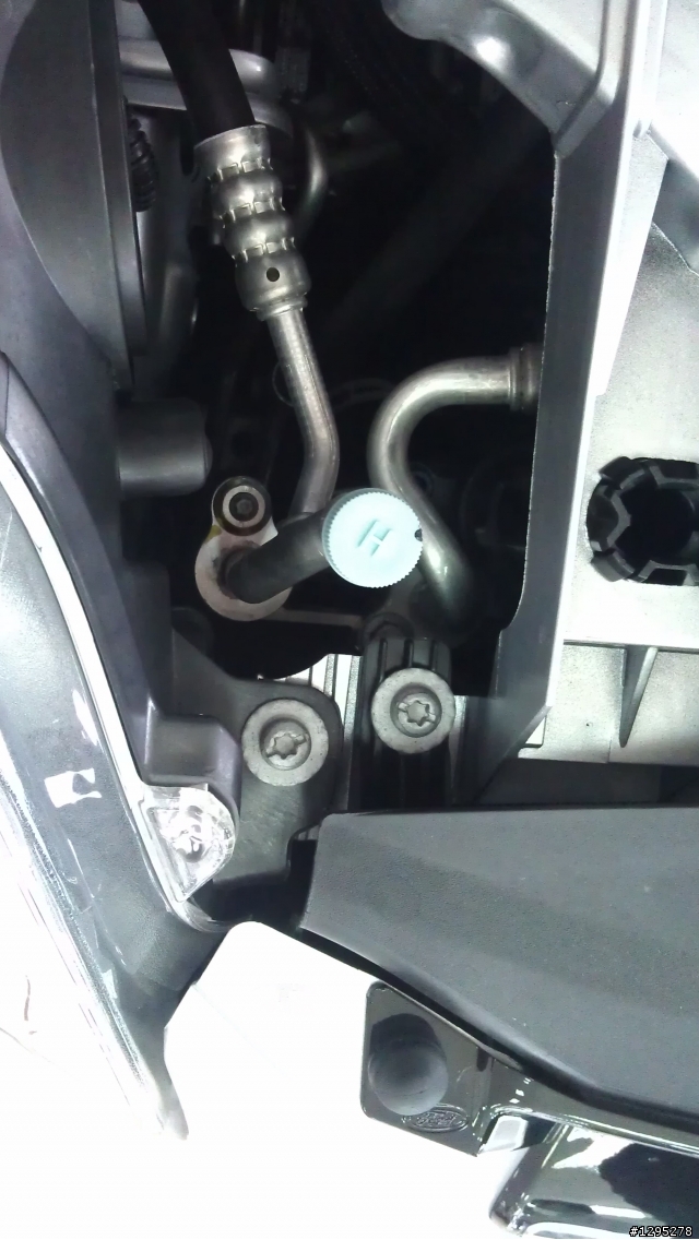 Focus III 2次賞車分享
