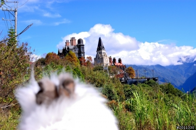 帶著孩子去旅行