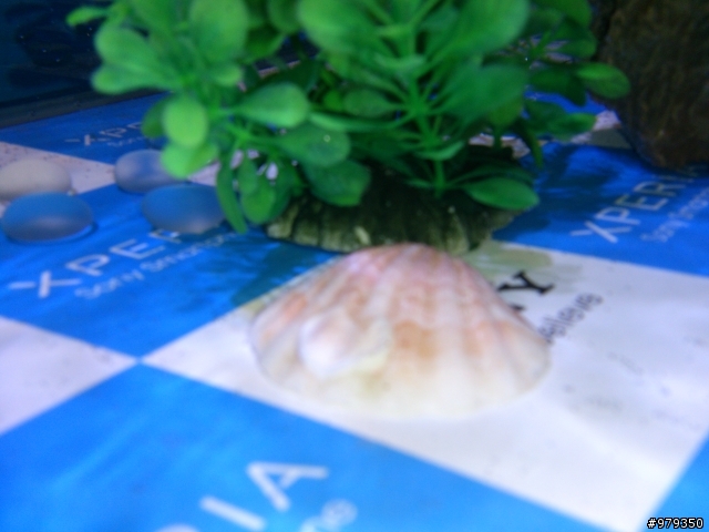 【來自Xperia V的感動。水時水地的自在生活！】之台中體驗會(with my arc s)-12/9