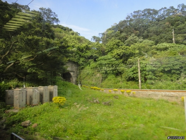 51歲歐里桑機車單人台3線中埔、大埔，台26線墾丁、旭海，台9線花東縱谷之旅-4花蓮~台中（完結篇）。