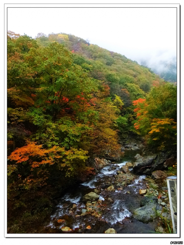 [SKYWAVE TYPE-S]福島縱斷紅葉之旅