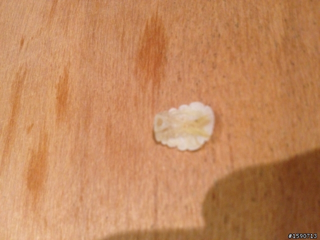 剛喝完味全的蛋花湯包最後居然有這個...