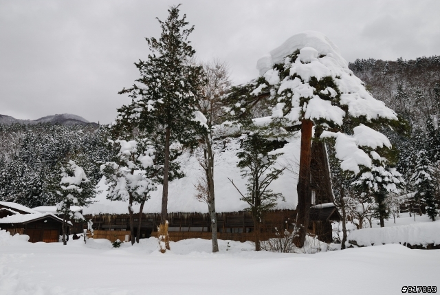 [冬之日本中部山區自助行]-夢幻童話小屋~合掌村(荻町/菅沼聚落)照片分享