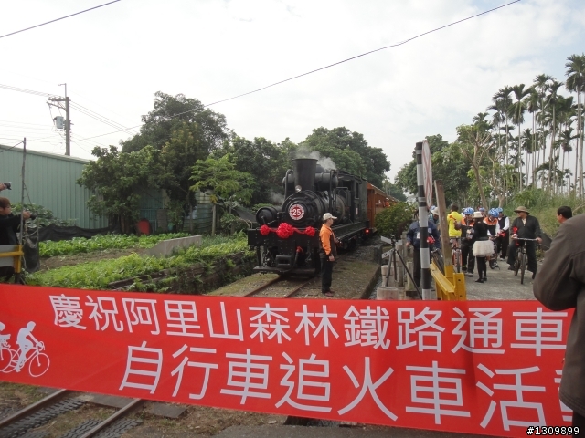 追火車，阿里山森林鐵路通車一百周年慶生活動