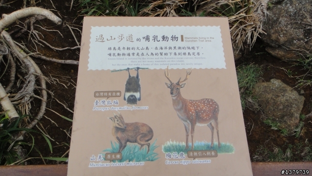 瘋台東 單車背包客的15 Days