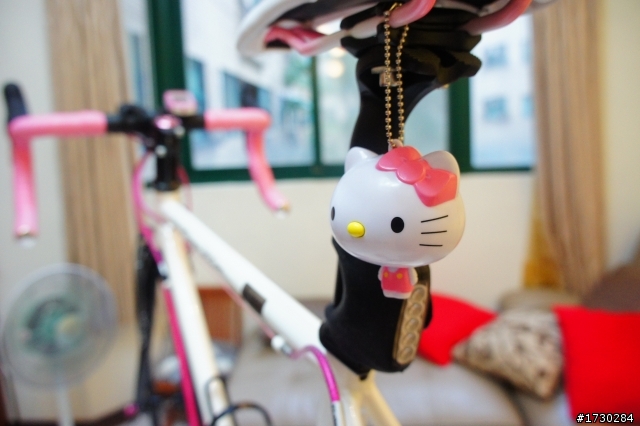 女王的第一台鋼管公路車-K350 超粉開箱