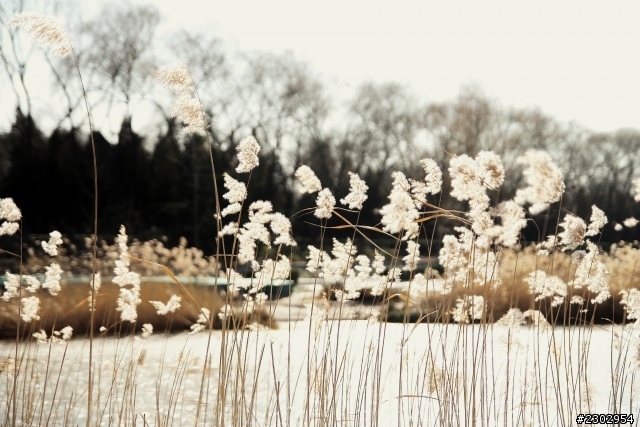 新手北京行canon650D + 騰龍A16隨拍分享!!!