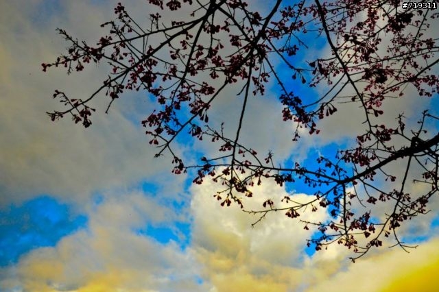 【遊記】101.12.15-16 台東祕境之湯~栗松溫泉.......圖爆多!!小心服用!!