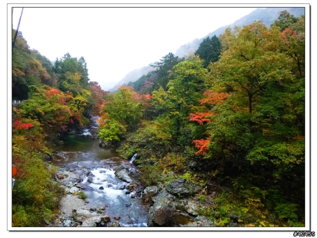 [SKYWAVE TYPE-S]福島縱斷紅葉之旅