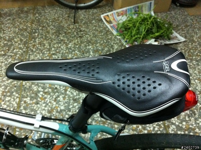 沒有開箱的開箱文-非市面成車!自己組的BIANCHI登山車