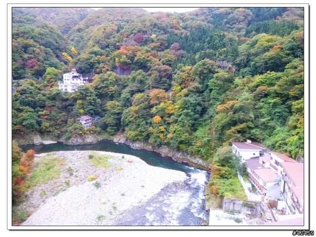 [SKYWAVE TYPE-S]福島縱斷紅葉之旅