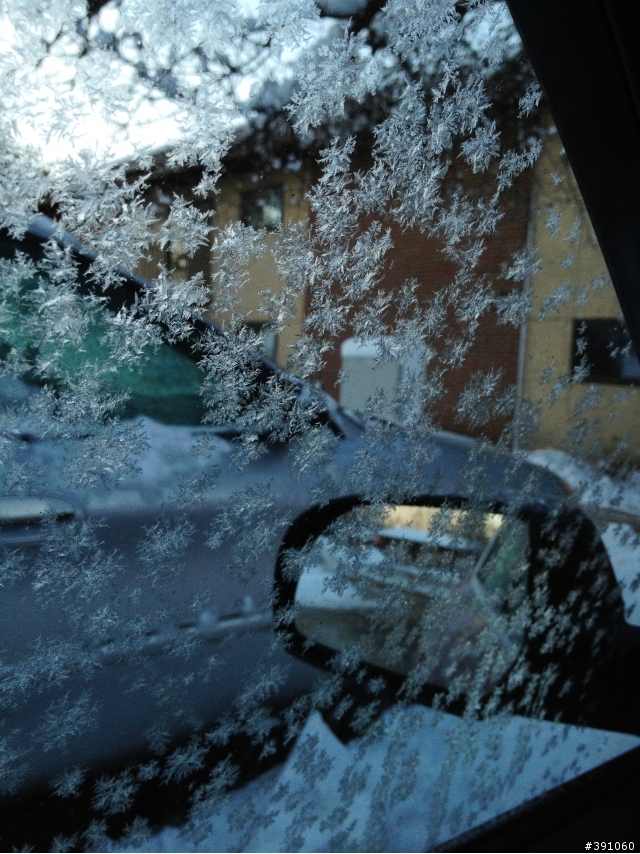 遲來的耶誕祝福