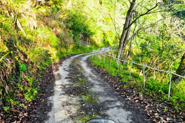 【遊記】101.12.15-16 台東祕境之湯~栗松溫泉.......圖爆多!!小心服用!!