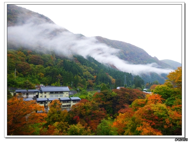 [SKYWAVE TYPE-S]福島縱斷紅葉之旅